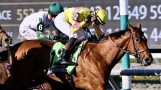 【BCジュベナイルフィリーズターフ】ジャスティファイ産駒が連勝…ハードトゥジャスティファイがV