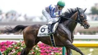 【福島記念】シルトホルン、ホウオウエミーズらが登録