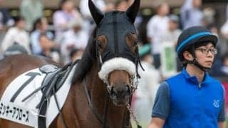 東京2R出走のミッキーアプローズが予後不良