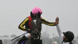 秋の女王決定戦エリザベス女王杯などJRAでは5重賞/今週の競馬界の見どころ