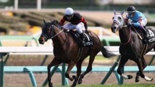 【福島記念登録馬】ホウオウエミーズなど22頭