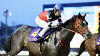 【武蔵野S登録馬】ドライスタウトなど18頭