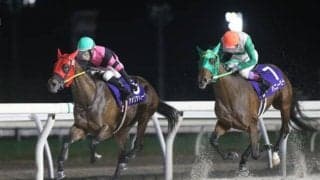 【川崎・ローレル賞枠順】道営のアメリアハートは2枠2番、3戦連続好走中のスピニングガールは3枠3番