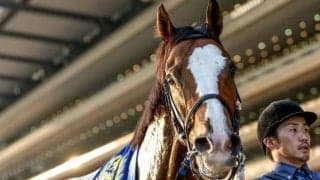 【AR共和国杯】売上は64億130万6100円で昨年より約10億円の大幅減