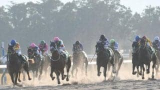 【みやこS】売上は49億2468万1400円で昨年より約2億円減少