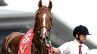 【京王杯2歳S】売上は29億9159万5800円で約1.5億円減少