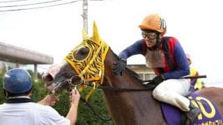 13戦12勝ショウガタップリは4枠4番、前哨戦を8馬身差Vのマテリアルガールは7枠9番/川崎・ロジータ記念枠順