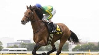 【先週のJRA抹消馬】19年菊花賞2着のサトノルークス、芝マイル戦を中心に活躍したピースワンパラディなど