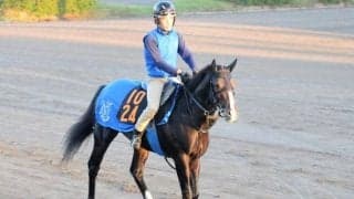 三冠牝馬アパパネの仔が臨戦態勢 国枝師「動きは合格点」/関東馬メイクデビュー情報