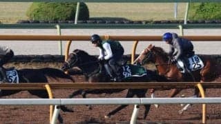 古馬相手も全く見劣りしない動き ローガンパスはデビューへ向け状態良好/関西馬メイクデビュー情報