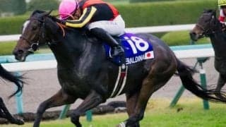 生まれつきGI勝ち約束された超良血 エリザベス女王杯5頭目の快挙なるか