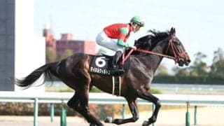 芝2500m戦に驚異的な適性持つスクリーンヒーロー産駒 復活遂げたマイネルウィルトスは今後も軽視禁物