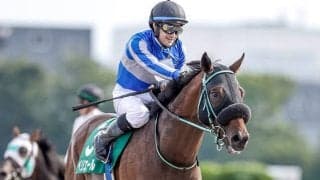 【武蔵野S想定騎手】ペリエールはC.ルメール騎手、ドライスタウトは横山武史騎手