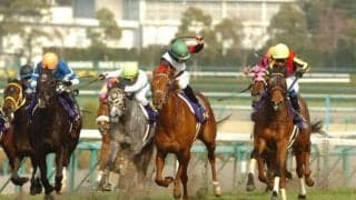 エリザベス女王杯で娘同士が激突 ジェンティルドンナとヴィルシーナの“桜決戦”を再び