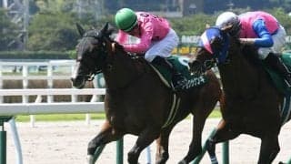 【京都JS想定騎手】アサクサゲンキは小牧加矢太騎手、ナギサは森一馬騎手