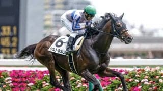 【福島記念想定騎手】シルトホルンは大野拓弥騎手、バビットは内田博幸騎手