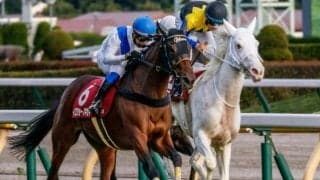 レース史上初の6歳馬Vなるか エリザベス女王杯に岩田康誠騎手との“ベテランコンビ”参戦
