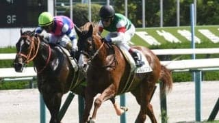 【デイリー杯2歳S展望】朝日杯FSの前哨戦、前走未勝利組に妙味あり