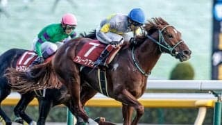 【豪・メルボルンC結果】ウィズアウトアファイトが優勝！ 日本のブレークアップは着外