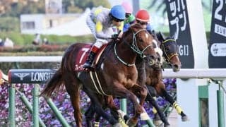 【メルボルンカップ】日本のブレークアップは16着…ウィズアウトアファイトがV