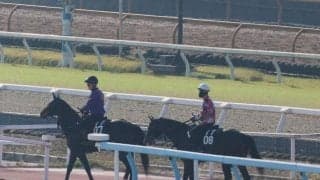 ヤマノフェアリーの2021(プロフォンド)など、先週のゲート試験/栗東トレセンニュース