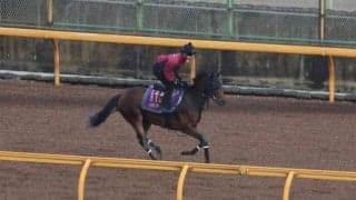 リバティアイランドなど、先週の入厩情報/栗東トレセンニュース