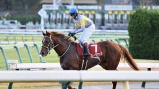 【メルボルンカップ】松山「持ち味活かせなかった」…ブレークアップは16着敗退