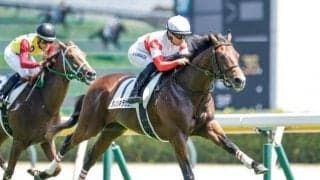 【デイリー杯2歳S予想オッズ】ダノンキラウェアが予想1番人気