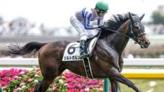 【福島記念予想オッズ】シルトホルンが予想1番人気
