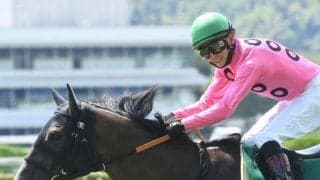 【京都JS予想オッズ】アサクサゲンキが予想1番人気