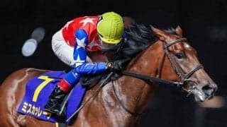 【川崎・ローレル賞結果】ミスカッレーラが無傷3連勝で重賞初制覇！