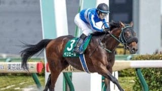 【武蔵野S予想オッズ】ペリエールが予想1番人気
