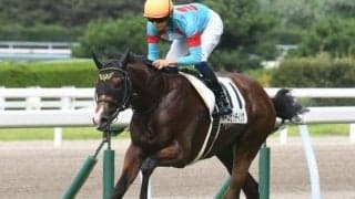 【武蔵野S展望】ダート重賞で屈指のスピードレース、格より勢いを重視したい