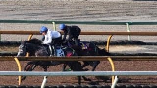 エルトンバローズ、マイルCS1週前追い切り速報/栗東トレセンニュース