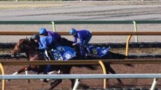 ソウルラッシュ、マイルCS1週前追い切り速報/栗東トレセンニュース