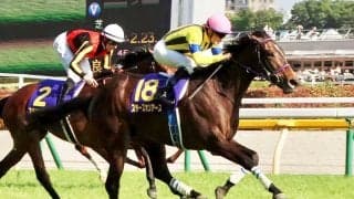 スターズオンアースがジャパンC参戦へ　イクイノックスと初対戦