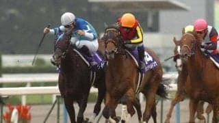 “全く並んでゴールイン” ジェンティルドンナとヴィルシーナがしのぎ削った最後の一冠