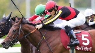 C.ルメール騎手国内GI・3連勝へ 3歳馬の“大器”候補とエリザベス女王杯に挑む