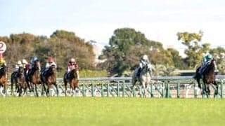 【ジャパンC想定】イクイノックスやリバティアイランドなど少数精鋭9頭