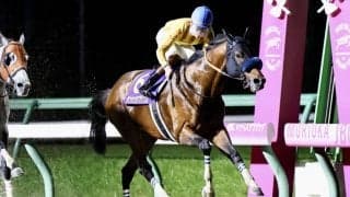 ダンシングプリンスが競走馬登録抹消