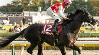 21年神戸新聞杯覇者がダートに初挑戦 武蔵野Sで復活の白星なるか