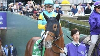 ブリーダーズCに遠征していた日本馬8頭が帰国