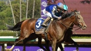 難病の子供と深い絆で結ばれたG1ホース 馬名の意味は「コディーの願い」