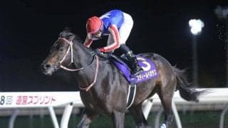 【門別・道営スプリント結果】スティールペガサスが連覇で重賞4勝目を挙げる