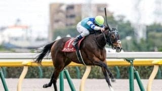 【エリザベス女王杯予想】AIの強調材料は“格の高いレースを経由してきた” こと 距離適性から人気低下のこの馬に注目！