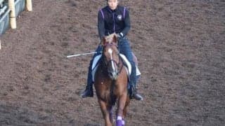 【福島記念展望】近年は前有利の傾向、バビットの巻き返しを期待したい