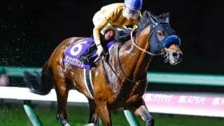 JpnI馬ダンシングプリンスが引退・種牡馬入り 22年のJBCスプリントなど重賞4勝