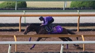 ドウデュース、ジャパンC2週前追い切り速報/栗東トレセンニュース