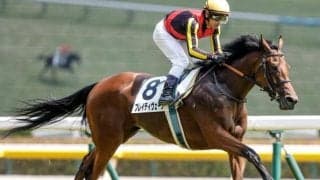 【エリザベス女王杯出走馬・騎手確定】ブレイディヴェーグ＆C.ルメール騎手、ハーパー＆川田将雅騎手など15頭