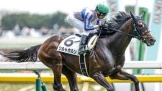 【福島記念出走馬・騎手確定】シルトホルン＆大野拓弥騎手、ウインピクシス＆松岡正海騎手など16頭